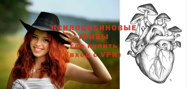 прущие грибы Балабаново