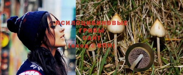 мяу мяу мука Балахна