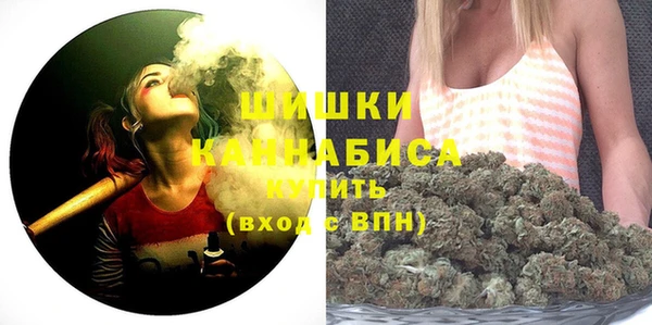прущие грибы Балабаново