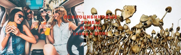 прущие грибы Балабаново