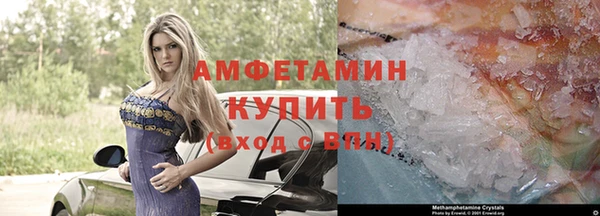 прущие грибы Балабаново