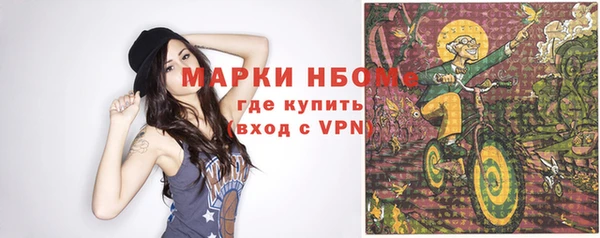 прущие грибы Балабаново
