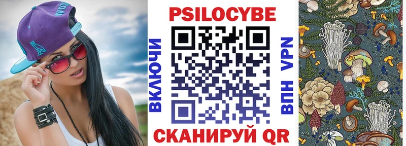 Псилоцибиновые грибы Psilocybe  где купить наркоту  Козельск 